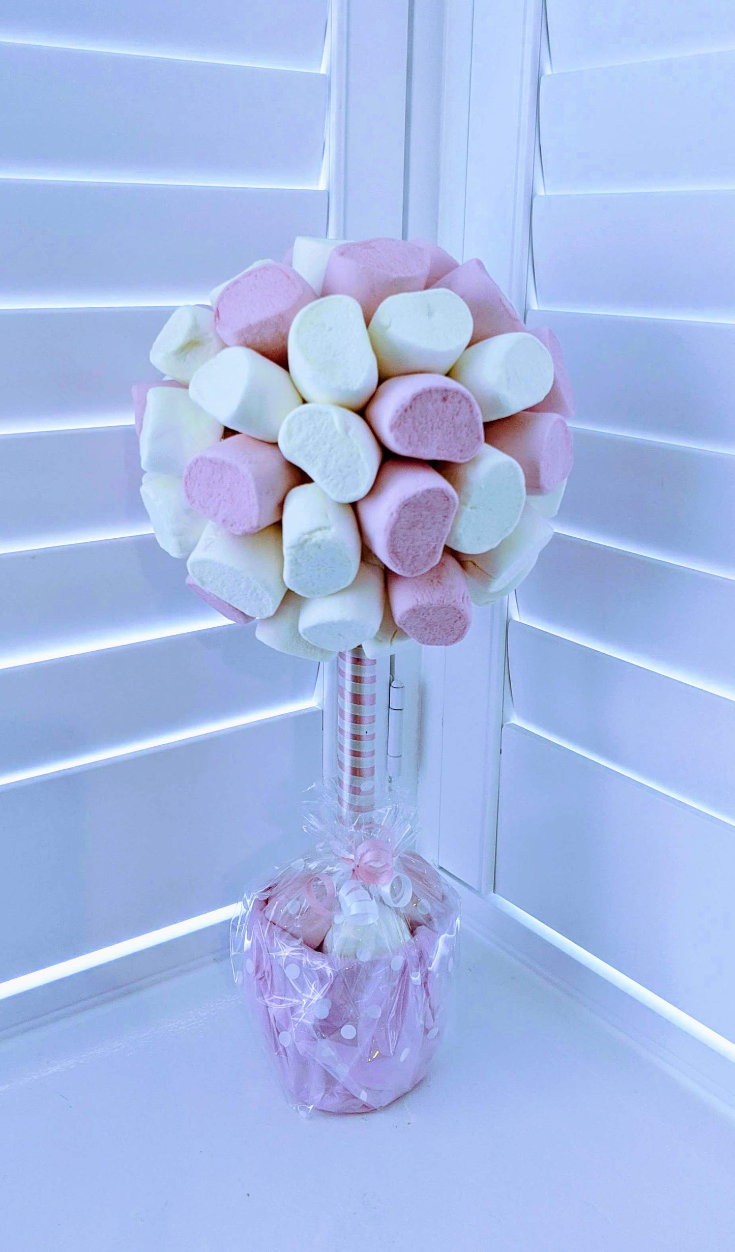 white Marshmallow sweet tree in UK