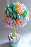 Best Saucers Sweet Tree seller in UK